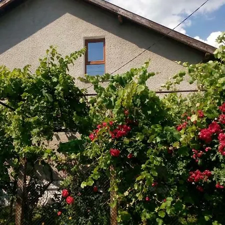 Holiday home къща джулия Sapareva Banya